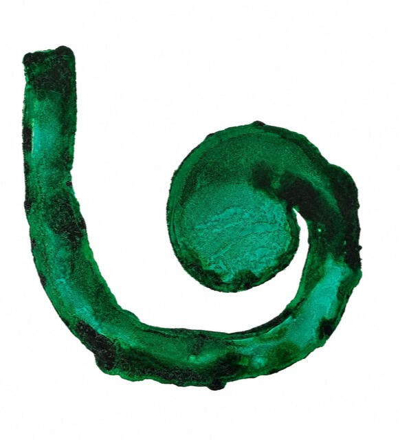 Lateral Scroll I