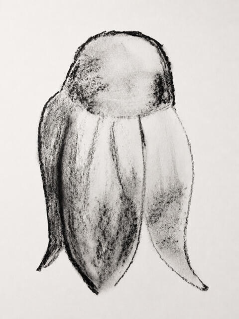 Charcoal Study III