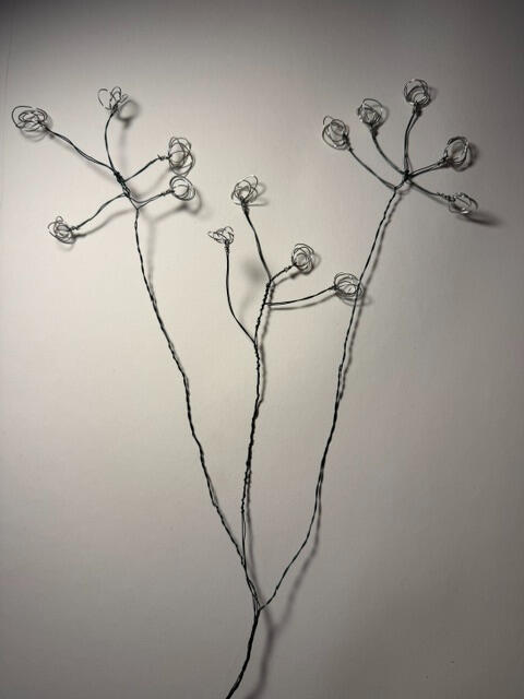 Baby's Breath