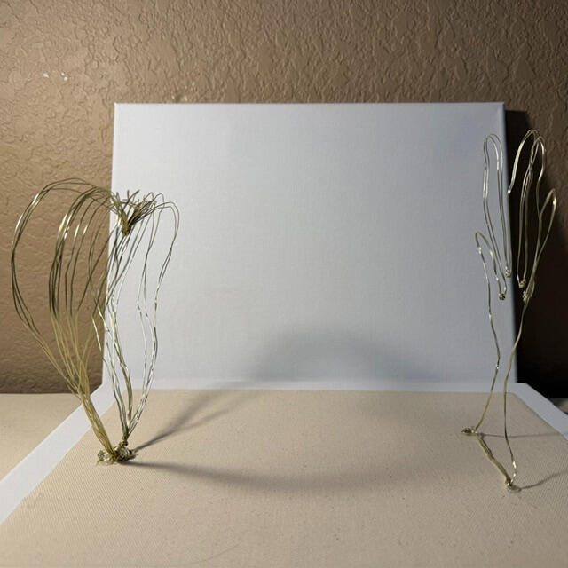 Illusion (alternate view 1)